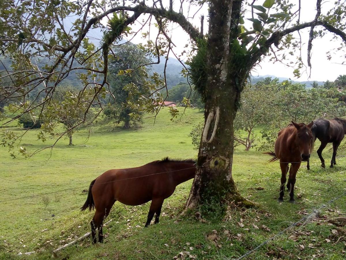 La Fortuna Casona Rustica & Bungalow מראה חיצוני תמונה